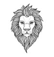 patterned ornate lion head african indian totem vector image vector image