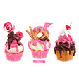 cupcakes with raspberries donut chocolate 3d vector image vector image