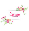 hello spring floral design with blooming flowers vector image