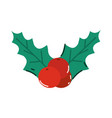 holly berry decoration vector image