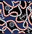 kanat vector image vector image