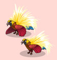 beautiful bird of paradise with a big yellow tail vector image
