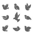 dove grey silhouette on white vector image vector image