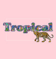 tropical leopard print vector image vector image