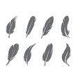 feathers vector image vector image