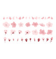 sakura cherry blossom japanese cherry petals vector image vector image