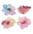 watercolor bright abstract flowers for spring vector image