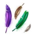realistic peacock peafowl color feather set vector image