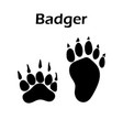 badger footprint vector image