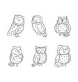variety cute owl set vector image vector image