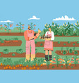 couple farmers standing in vegetable garden vector image
