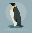 flat emperor penguin vector image vector image