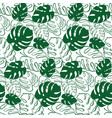 botanical of monstera leaf vector image vector image