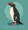 flat fiordland penguin vector image vector image
