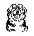 bernese mountain dog black contour portrait vector image vector image
