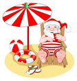 santa claus on the beach vector image