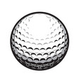golf ball isolated vector image vector image