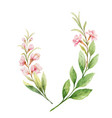 watercolor wreath pink flowers vector image
