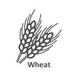 wheat ear line icon outline sign linear style vector image