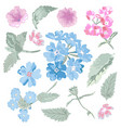 hand drawn flowers set vector image