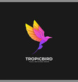 logo bird gradient colorful vector image