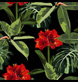 seamless pattern red lilies flowers and tropical vector image