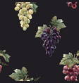 watercolor grape pattern vector image vector image