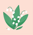 lily of the valley flower on pastel beige vector image