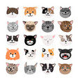 funny cats face emtions vector image vector image