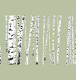 image of abstract birchwood vector image