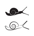 snail on white background reptile animals vector image