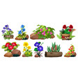 large set colorful flowers on rocks and wood vector image