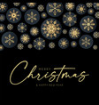 merry christmas elegant holiday design vector image