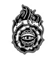 graphic flaming flower and all-seeing eye vector image