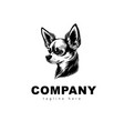 head of chihuahua dog vector image