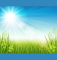 summer lawn with grass vector image