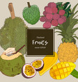 thai-fruits sketch set vector image