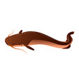 catfish isolated on white wildlife fish vector image vector image