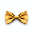 3d realistic yellow golden bow tie icon vector image