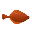 cartoon halibut fish from sea isolated on white vector image vector image
