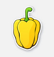 yellow bell pepper or paprika vector image vector image