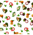 exotic tropical fruit vector image