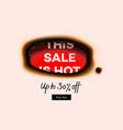 hot sale banner special offer big sale discount vector image