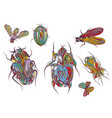 set of ethnic insects vector image
