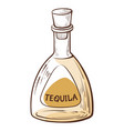 doodle tequila bottle with cap full alcohol vector image vector image