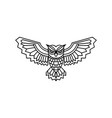 owl logo vector image vector image