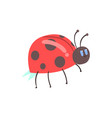 cute cartoon red ladybug character vector image