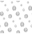 botanical of monstera leaf vector image vector image
