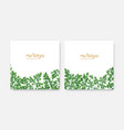 bundle elegant square backdrops or labels vector image