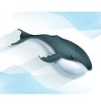 whale icon vector image